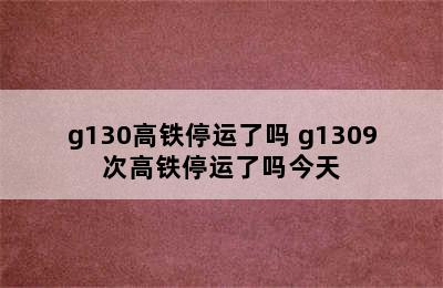 g130高铁停运了吗 g1309次高铁停运了吗今天